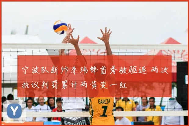 宁波队新帅李玮锋首秀被驱逐 两次抗议判罚累计两黄变一红