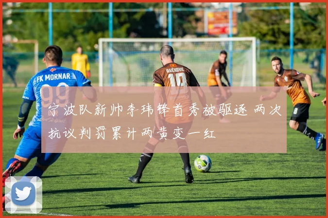 宁波队新帅李玮锋首秀被驱逐 两次抗议判罚累计两黄变一红